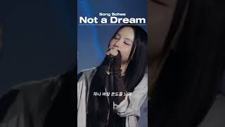한국의 세렝게티가 떠오르게 하는 송소희 미 발매곡 Not a Dream