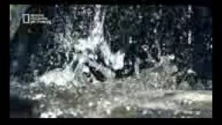 ١٩ أبريل ٢٠١٧