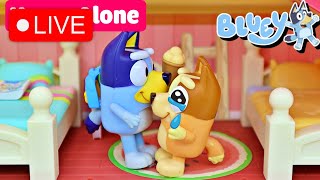 Live  Bluey's Magical Moments: Best Adventures and Heartfelt Lessons  Missing You