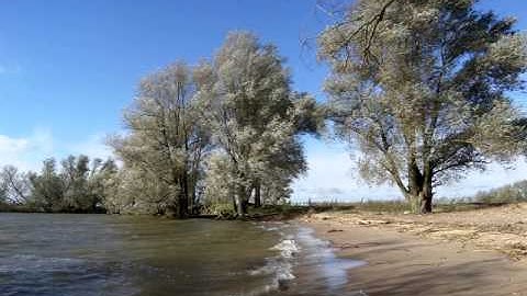 Lente, Zomer,Herfst en Winter