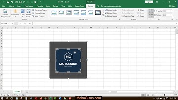 How to Crop Image Manually in Excel- Crop Image Manually in Excel Tutorial