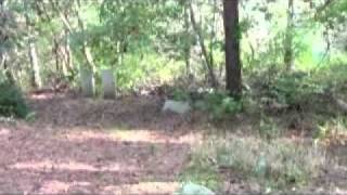 Searching for Henry's Headstone