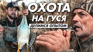 Охота на гуся. Долгий путь охотника ...