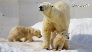 この子が左で、この子が右・・・
