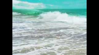 Wild Ivy - The Water Spirits Have Got Me
