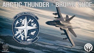 Arctic Thunder: Brown Shoe