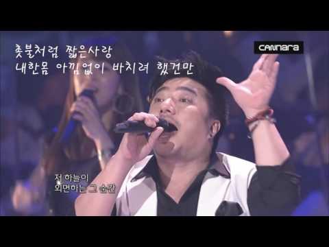 캔 내인생에 봄날은