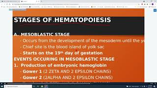 HEMA LEC LESSON 2 HEMATOPOIESIS INTRO   END OF ERYTHROPOIESIS
