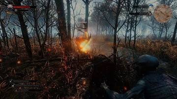 Witcher 3 4K ULTRA graphics mod E3 2014