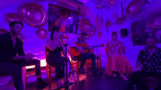 İspanya Çingene Mahallesi Flamenko Gösterisi Resimi