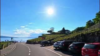 Best Moments from Switzerland 🇨🇭  Best Alan Walker Songs 🫶