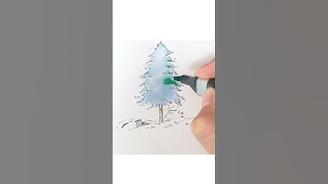 How to Draw a Pine Tree Easy #shorts #short