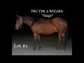 Lot #2 FRC Yer A Wizard - Feather River College Production Horse Sale 2026