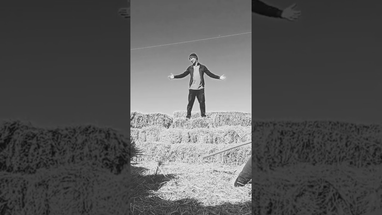 Otello 🤣 | Dezdemona qani?