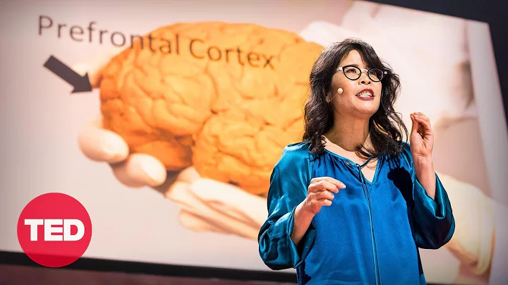 Wendy Suzuki: The brain-changing benefits of exercise | TED - DayDayNews