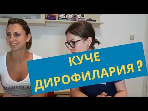 Видео: Алтернативи на кучетата