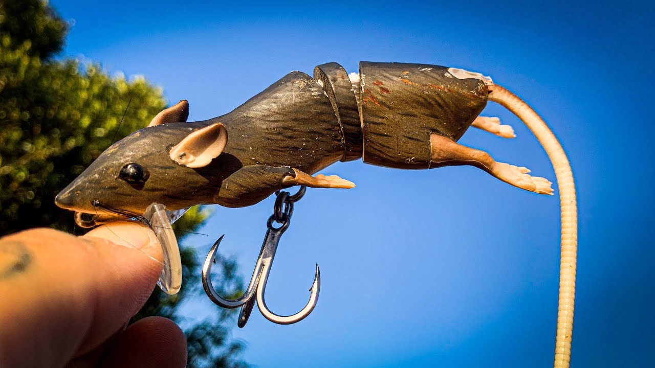 Topwater RAT LURE has got to be the weirdest lure ever. Will it work? 