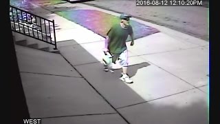 Home Security Cameras Capture Package Thief