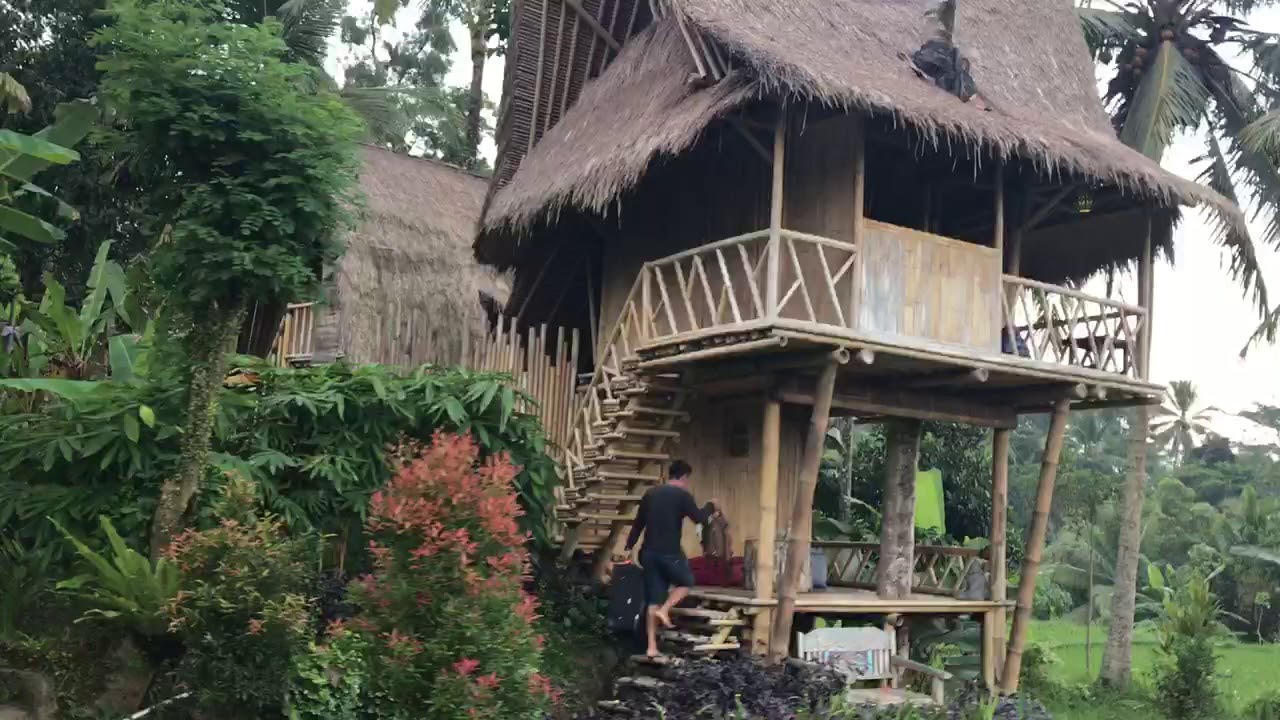  Treehouse  in Ubud  Bali  YouTube