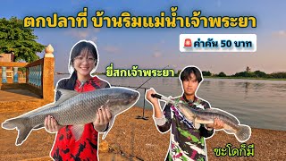 ตกปลาธรรมชาติ - หมายบ้านริมน้ำเจ้าพระยา อยุธยา