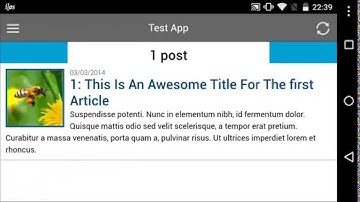 WP-AppKit - Wpak Off-Canvas theme for Android