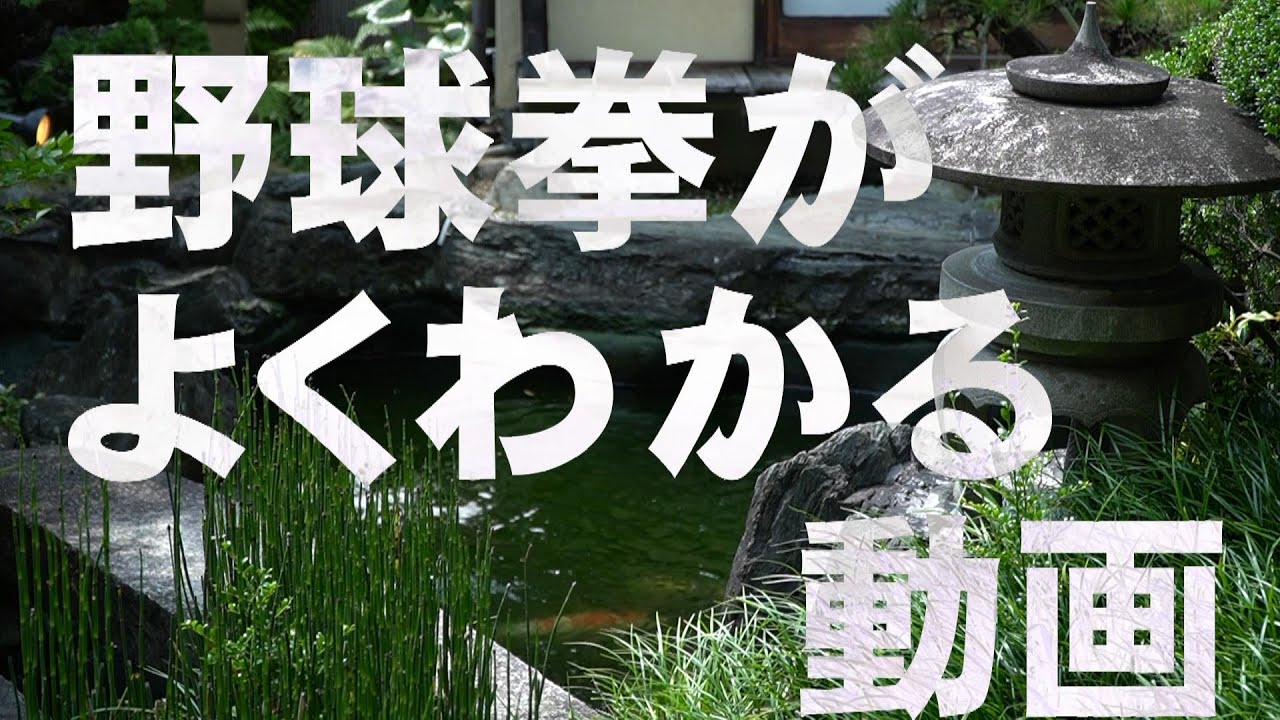 “正しい野球拳”がよくわかる動画