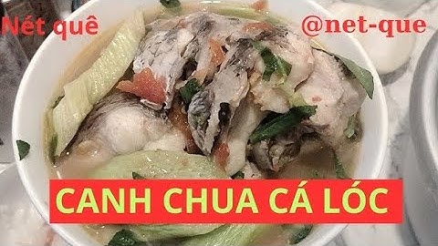 Cách nấu Canh Chua Cá Lóc không tanh – Đậm đà hương vị miền Tây