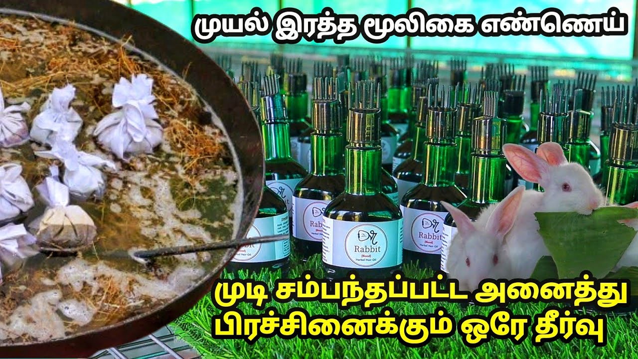 முடி சம்பந்தப்பட்ட அனைத்து பிரச்சினைகளுக்கும் ஒரே தீர்வு | rabbit herbal hair oil in tamil