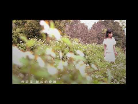 楊培安【希望的種子】中視-喬家大院OP (官方HD完整版)