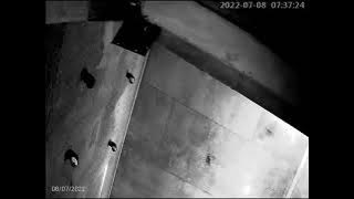 Sp Kun fayakun by Arfah