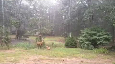 A rainy day to be remembered