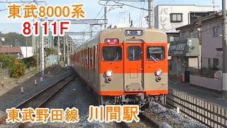 東武8000系「8111編成」の急行大宮行 東武野田線「川間駅」にて