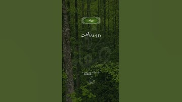 🛑#تلاوة #quran #قران#المغرب #السعودية #الامارات #ايات  #مصر #دعاء #جمعة_مباركة