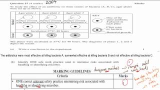 SB.3. Question 27 - 2004 HSC Paper
