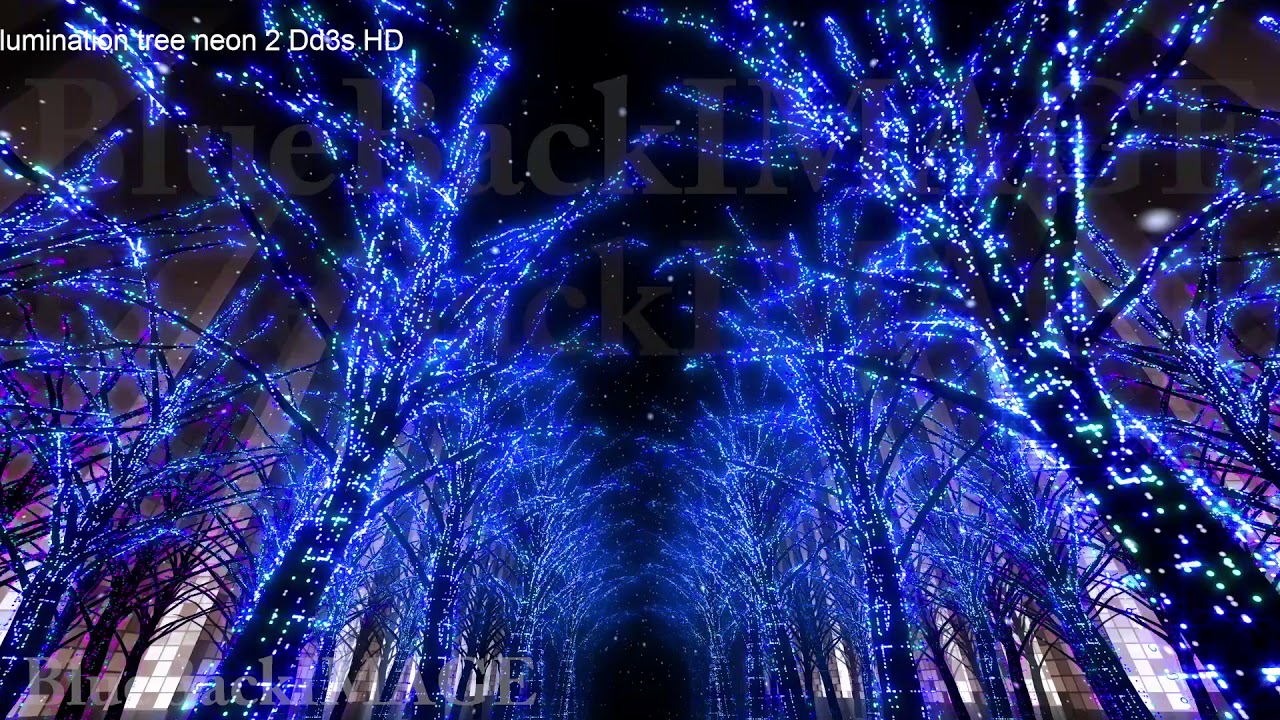Stock Footage illumination tree city night light neon illumination tree neon 2 Dd3s HD