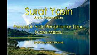 Surat Yasin  يٰسۤ  [FULL], Suara Merdu, Arab dan Terjemahan - Syaikh Saad Al Ghamdi