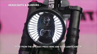 HEADLIGHTS + BLINKERS