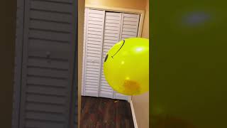 #asmr  balloon pop with confetti