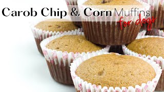 Carob Chip \& Corn Muffins 🍫🌽🐕| WHISKOPETS KITCHEN 😃 | DIY DOG MUFFINS \& TREATS