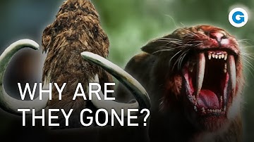 The Last Giants: Tracking the Ice Age Extinction | Full Documentary