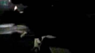 Discoteca Hennessy Torino..