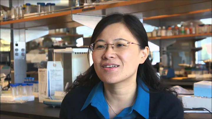 UC CEIN Researcher Highlight - Zhaoxia Ji