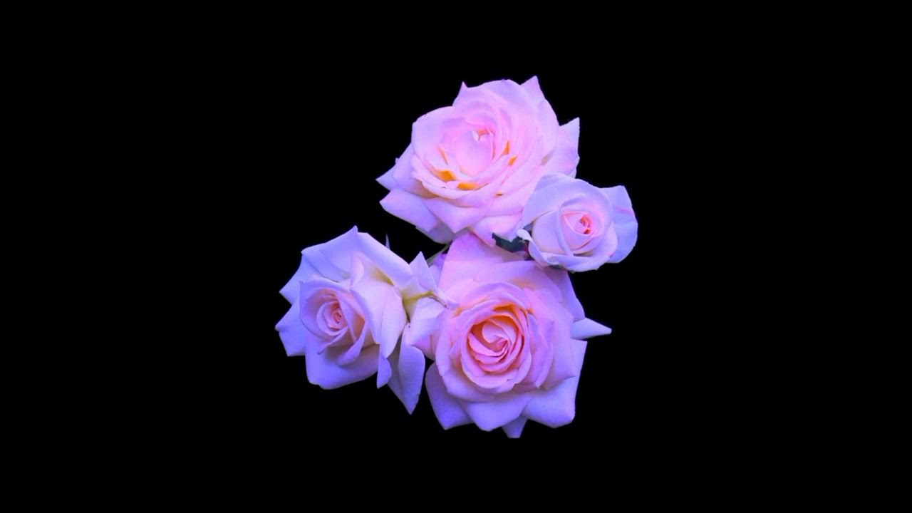 eraser girl maretu daycore / slowed YouTube