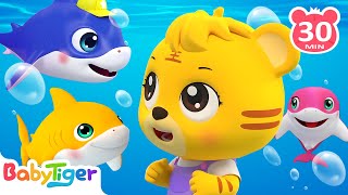 Baby Shark Doo Doo DooAnimal Dance Time+More Animal Songs & Nursery Rhymes for Toddlers  BabyTiger