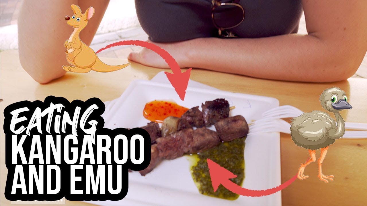 Eating Kangaroo Emu Exploring Sydney Sydney Australia Youtube