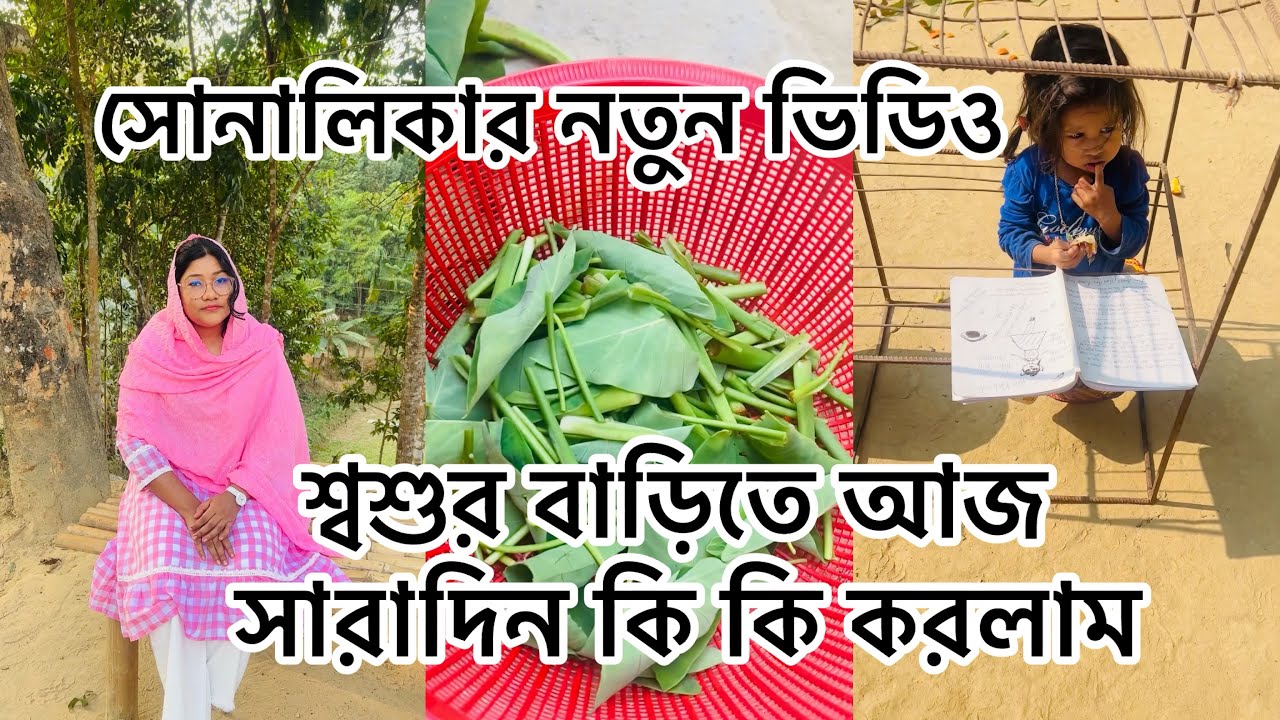 শ্বশুর বাড়িতে আজ সারাদিন কি কি করলাম/ সোনালিকার নতুন ভিডিও