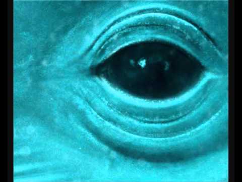 Robert Hall Lewis – Nuances II Whale Lament / Concerto For Chamber