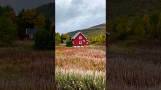 Ecotherapy 365/279 : Deciduous