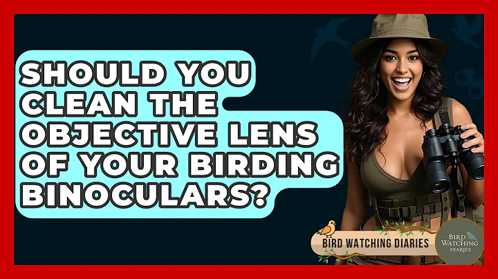 Should You Clean The Objective Lens Of Your Birding Binoculars? - Bird Watching Diaries