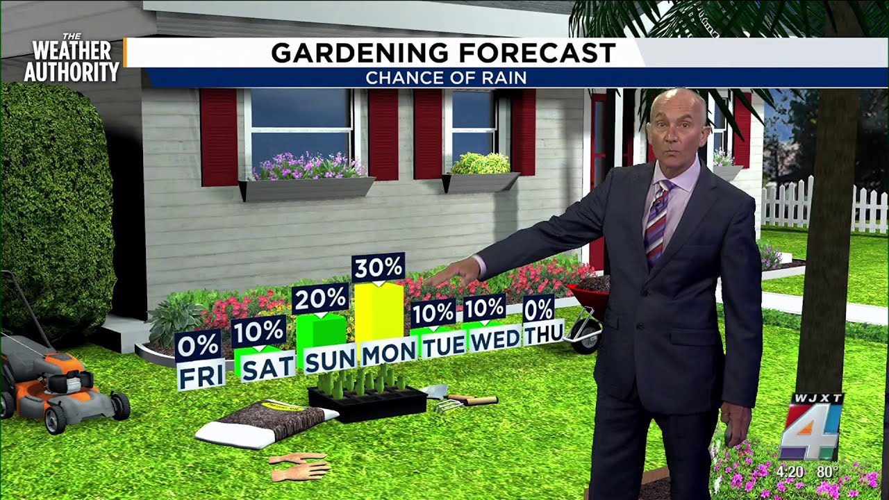 Summer heat and humidity, Chance of weekend showers - YouTube
